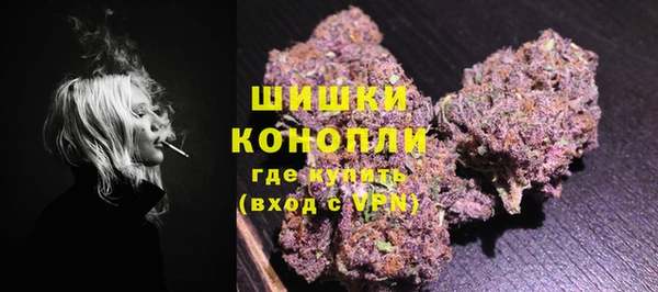 твердый Богородицк