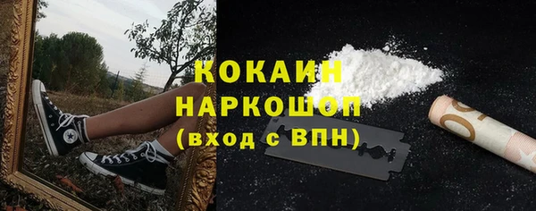 твердый Богородицк